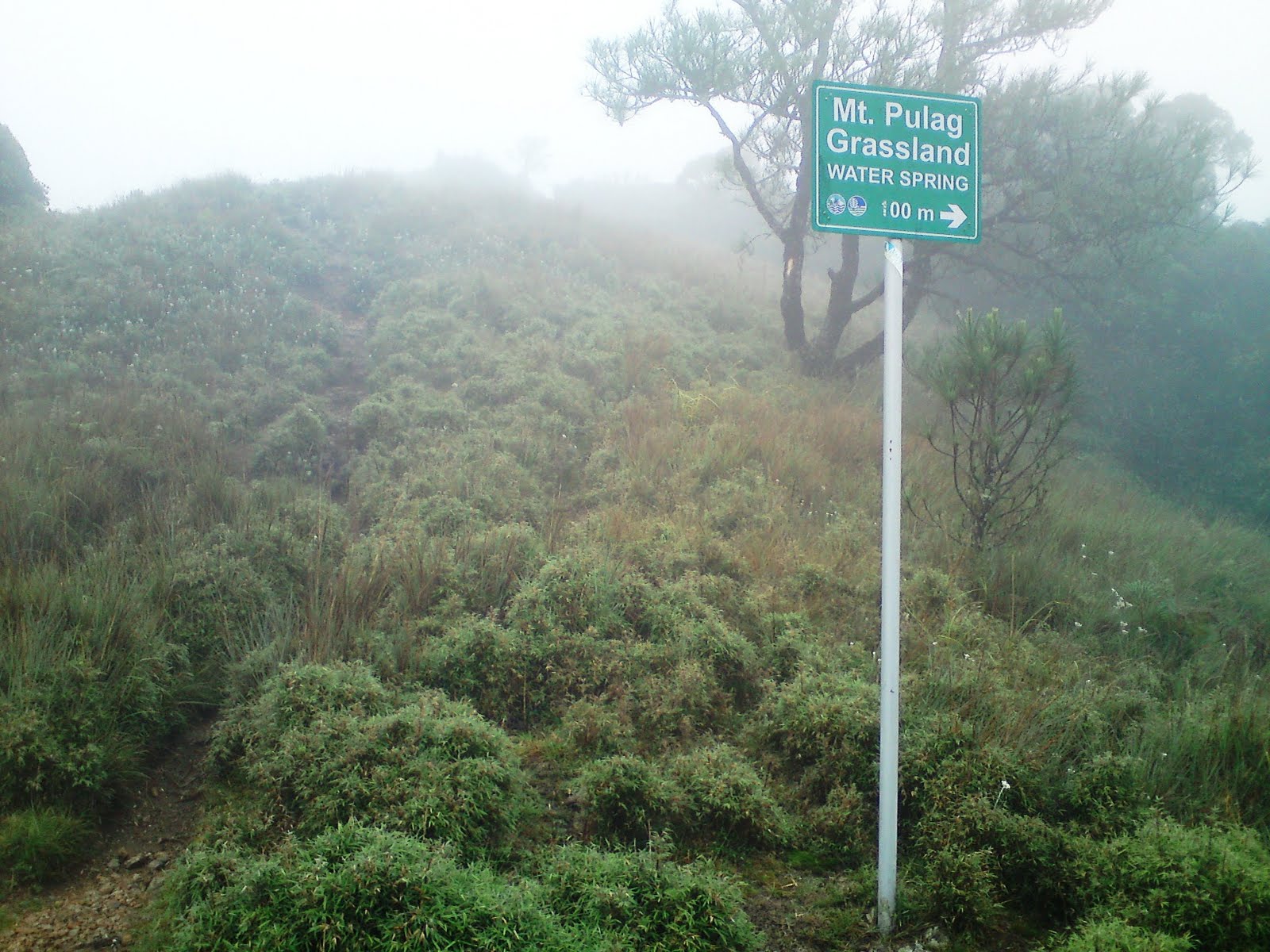 the viewing deck Mt. Pulag National Park