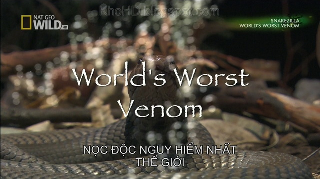 World%27s+Worst+Venom+1080i+HDTV+AVC_BHT+(SubViet)%5B14-07-02%5D.jpg