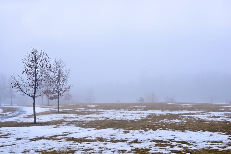 #FoggyLandscape #Winter #Landscape #SimiJoisPhotography 