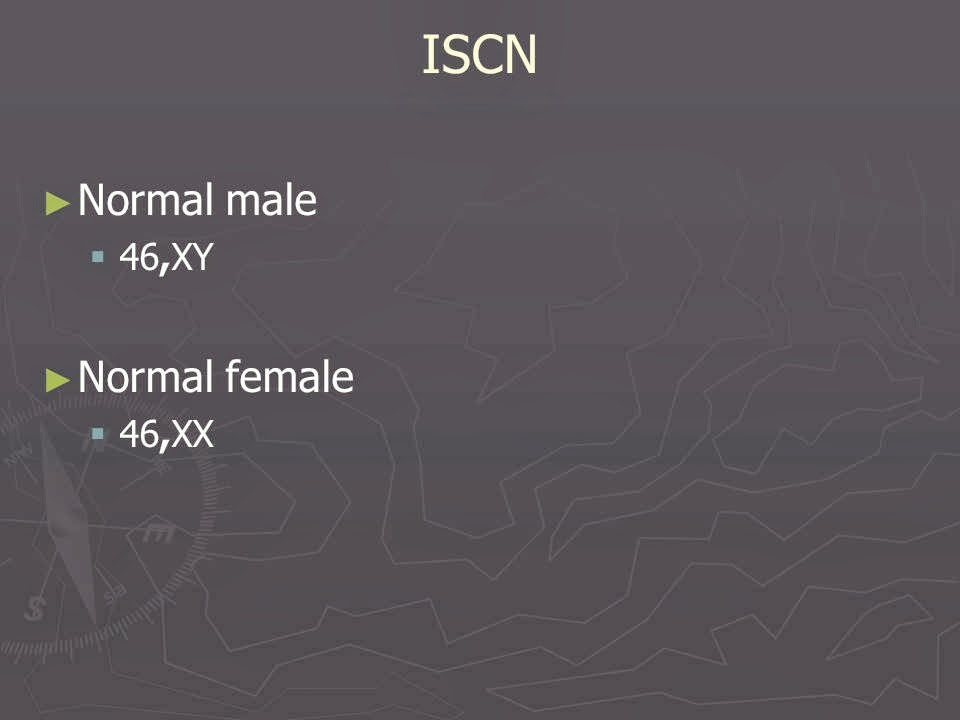 Slide 69
