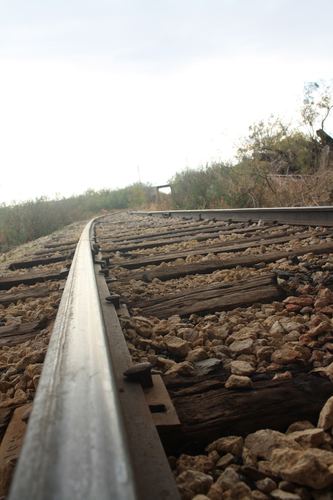 Cedar Gap and Abilene Pammy's World