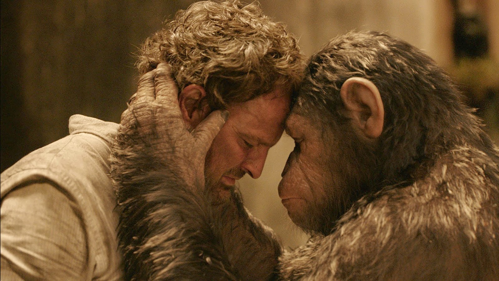 Dawn of the Planet of the Apes Movie 2014 Free Download