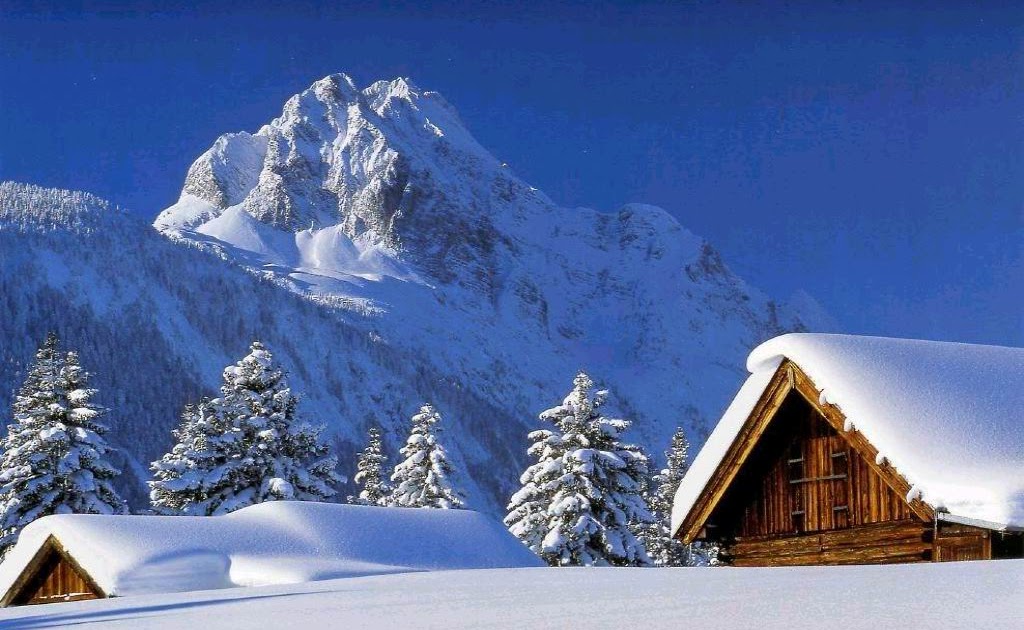 Мой садикогородик Народные приметы на погоду и урожай