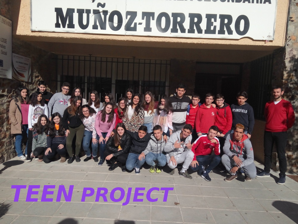 Teen Project 1
