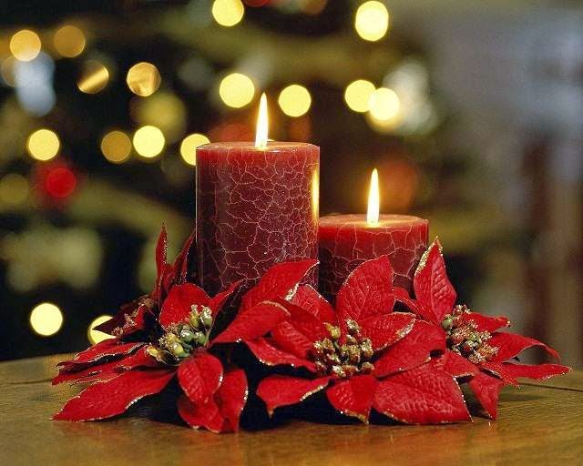 Christmas flowers and candles