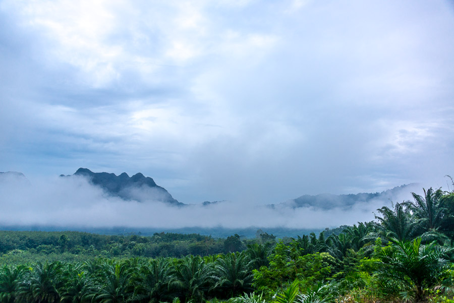 Trip to Cheow Lan Lake