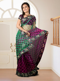 Net embroidered shaded sari-6 