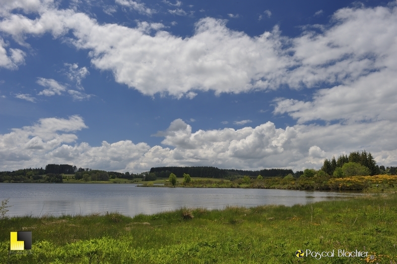zone humide lac de devesset photo pascal blachier