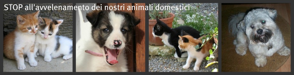 Stop all'avvelenamento dei nostri animali domestici