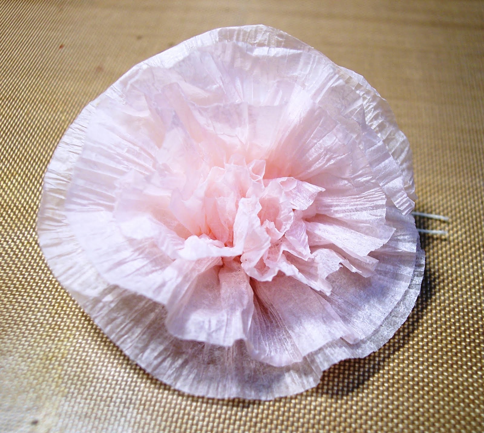 Paper Squirrel Tutorial Crepe Paper Carnation