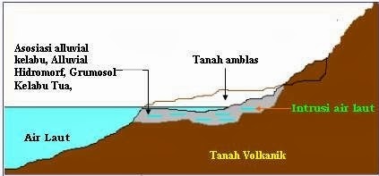 Tentang Banjir Rob