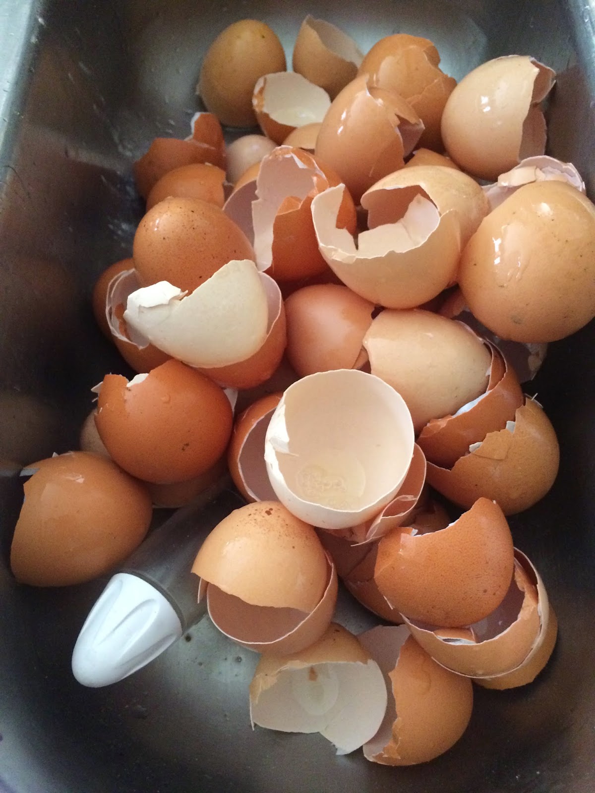 LaceofGrace Crock Pot Scrambled Eggs