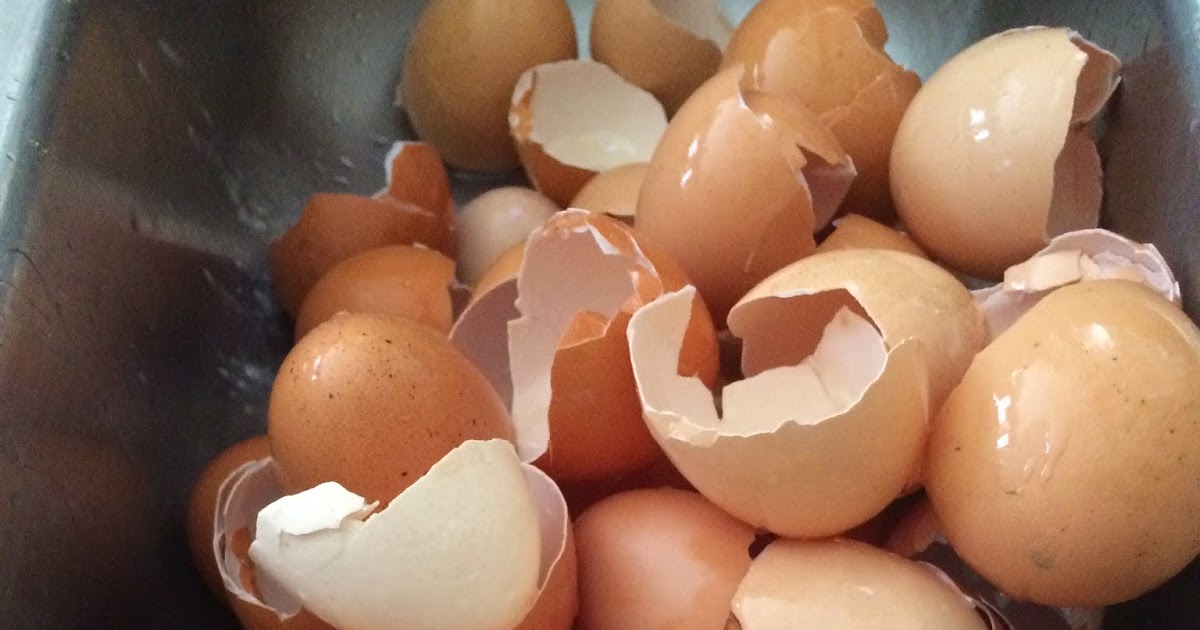 LaceofGrace Crock Pot Scrambled Eggs