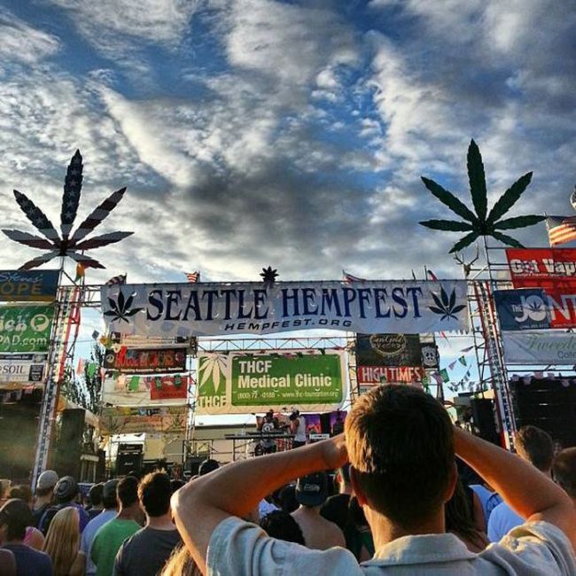 Seattle Hempfest 2013 Cool Damn Pictures