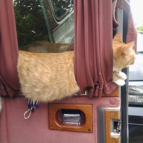 You Might Be A Van-Dweller If