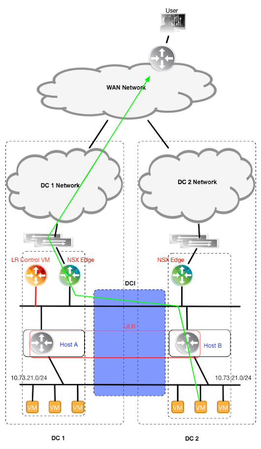 NSX Local Egress