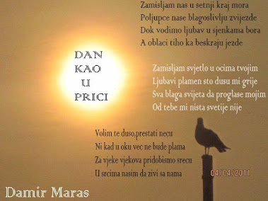 Damir Maras