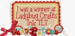 l am a winner at Ladybug crafts ink