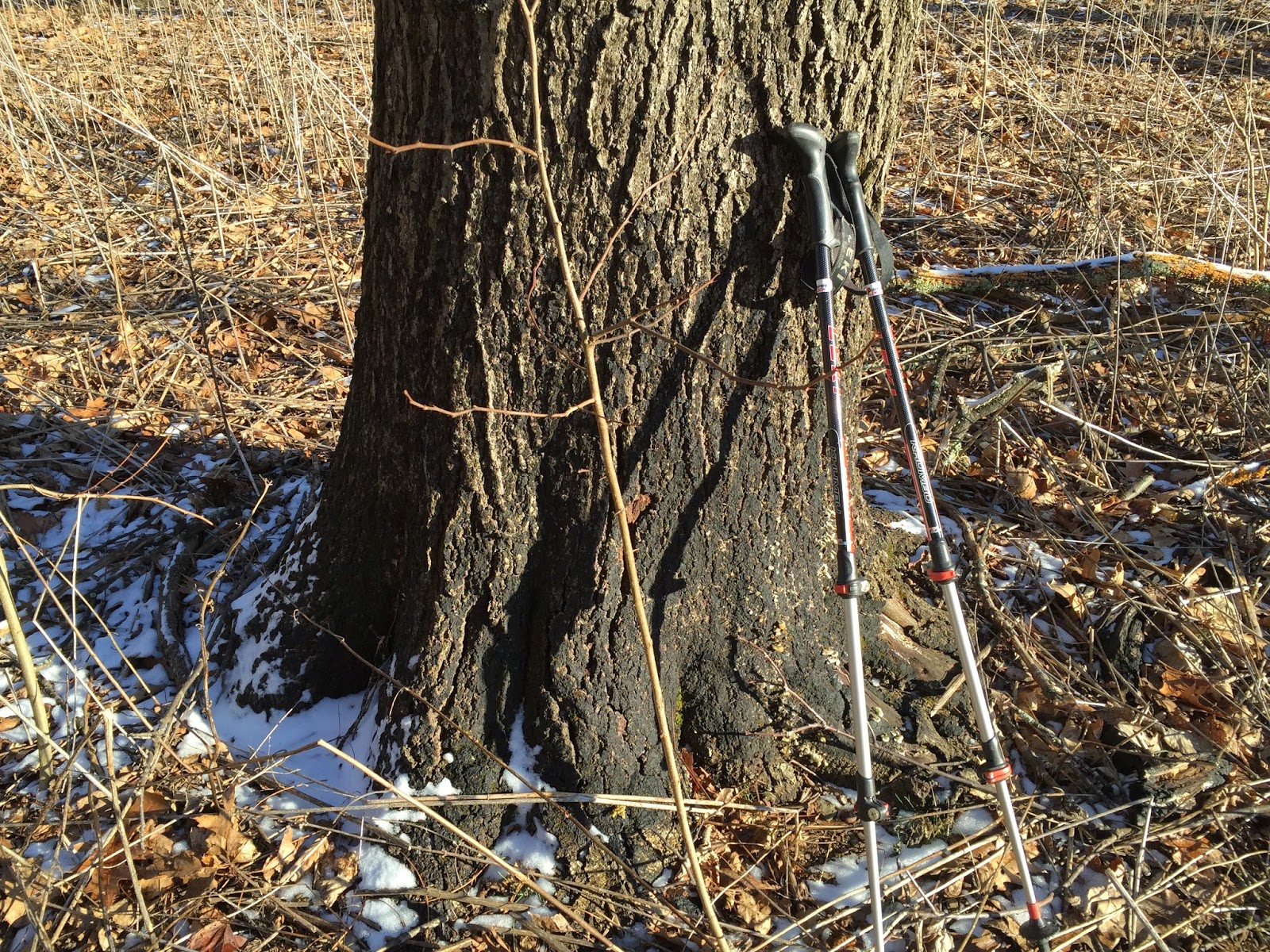 Wandering Virginia Rich Hole Wilderness, West of Lexington