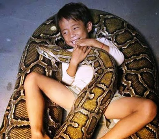 When Humans and Animals Get Along