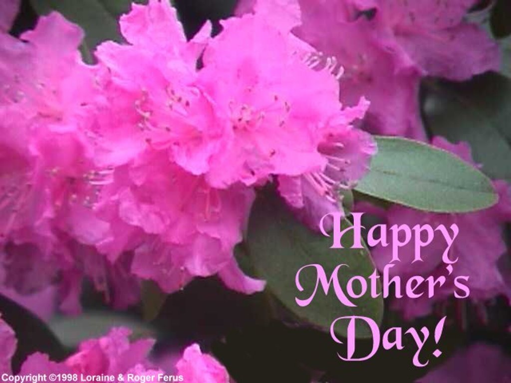 Farry Island: Mother's Day Wallpapers