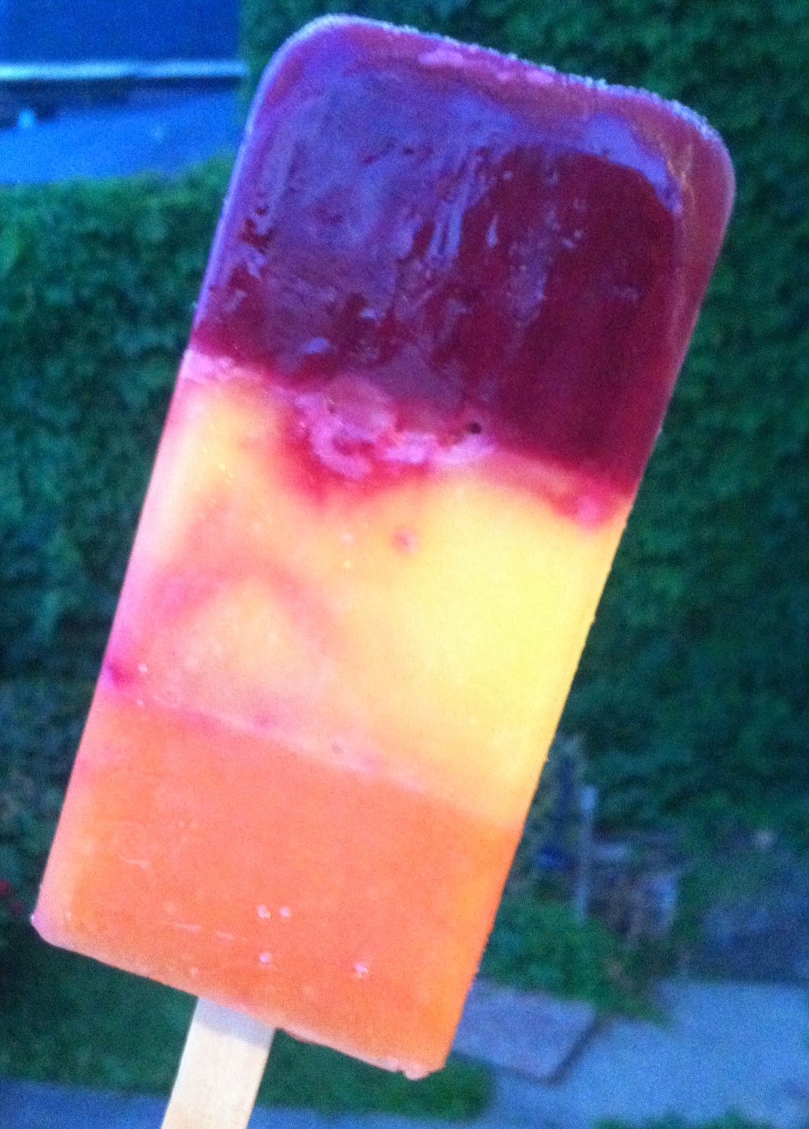 What's Good at Trader Joe's? Trader Joe's Fruit Frenzy Bars II