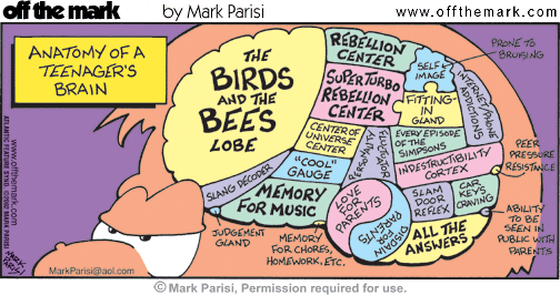 For Teenage Brains Importance Of >> The Building Of The Teenage Brain Teens And Their Environment For Teenage Brains Importance Of >> The Building Of The Teenage Brain Teens And Their Environment
