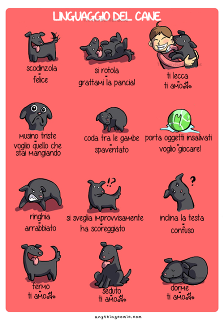 Linguaggio del cane