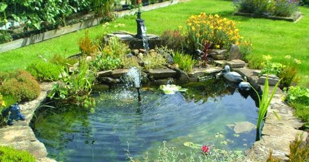 How to Make Your Backyard garden Pond Design a Success - Simply Screen It