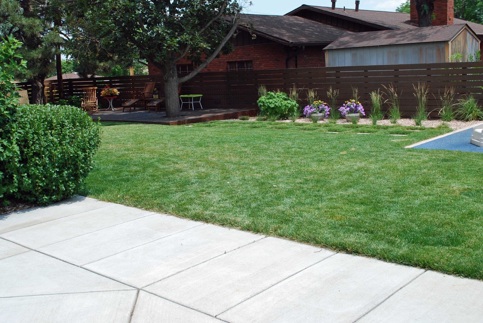 the art garden Landscape Design Focus Modern