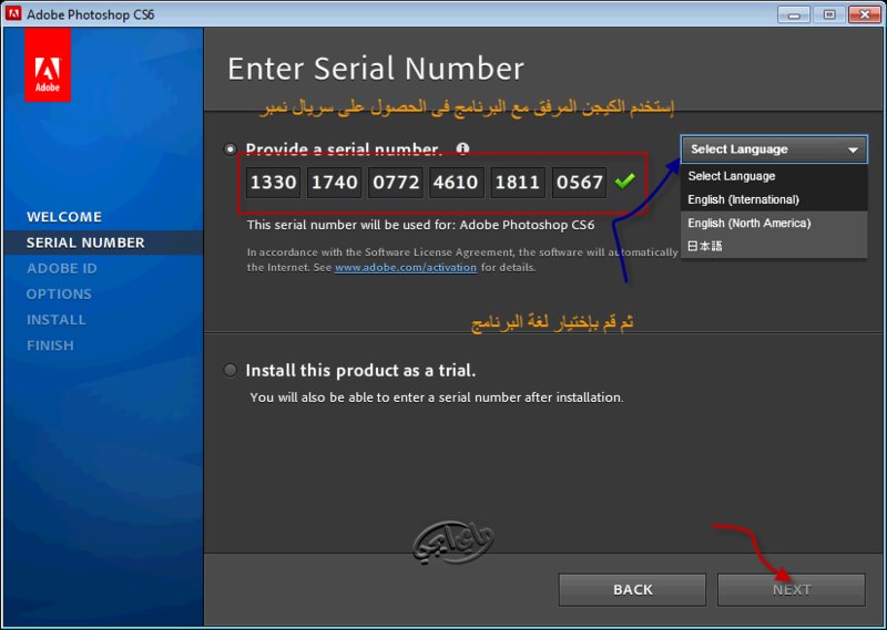 Adobe Photoshop 7.01 Update serial key or number