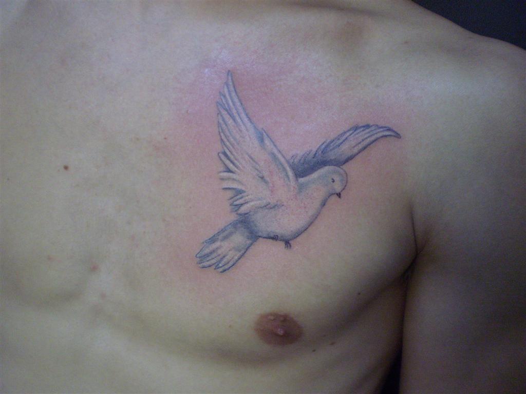 Racing Pigeon Tattoo