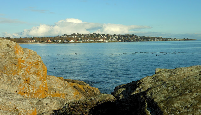 The houses of Hollywood Crescent from Clover Point (2012-11-14)