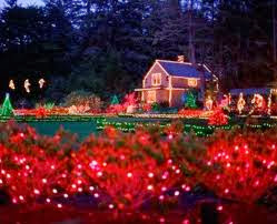 Todo Jardines: diciembre 2013