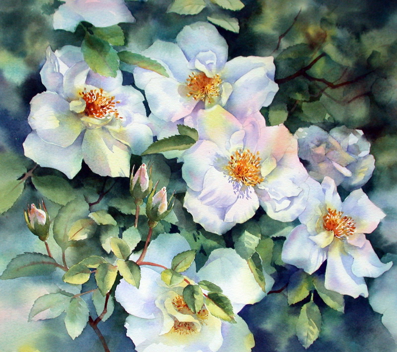 MATIN LUMINEUX Ann Mortimer