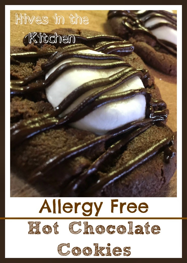 Hives in the Kitchen {Allergy Free} Hot Chocolate Cookies