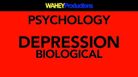 Depression (mood) - Psychology Depression