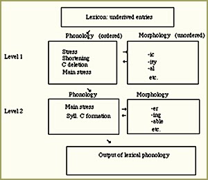 EDUAID An Introduction to English Phonology and Pronunciation of English