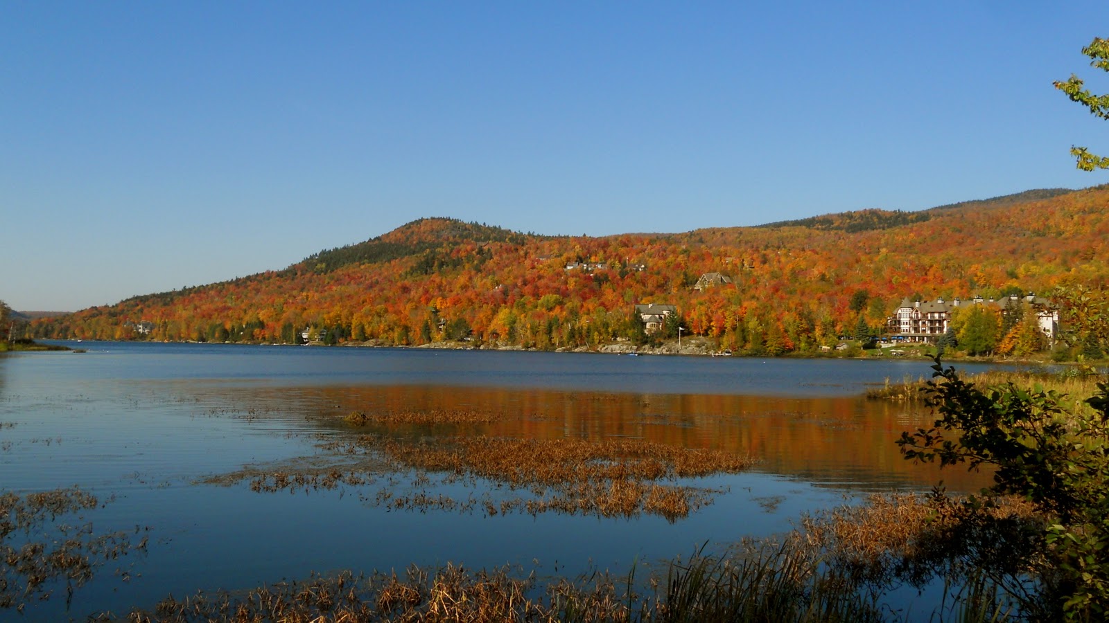 四季を彩る世界の風景 2 ローレンシャン高原とモントランブランの紅葉 黄葉 2 改訂 我家のｉｔ化