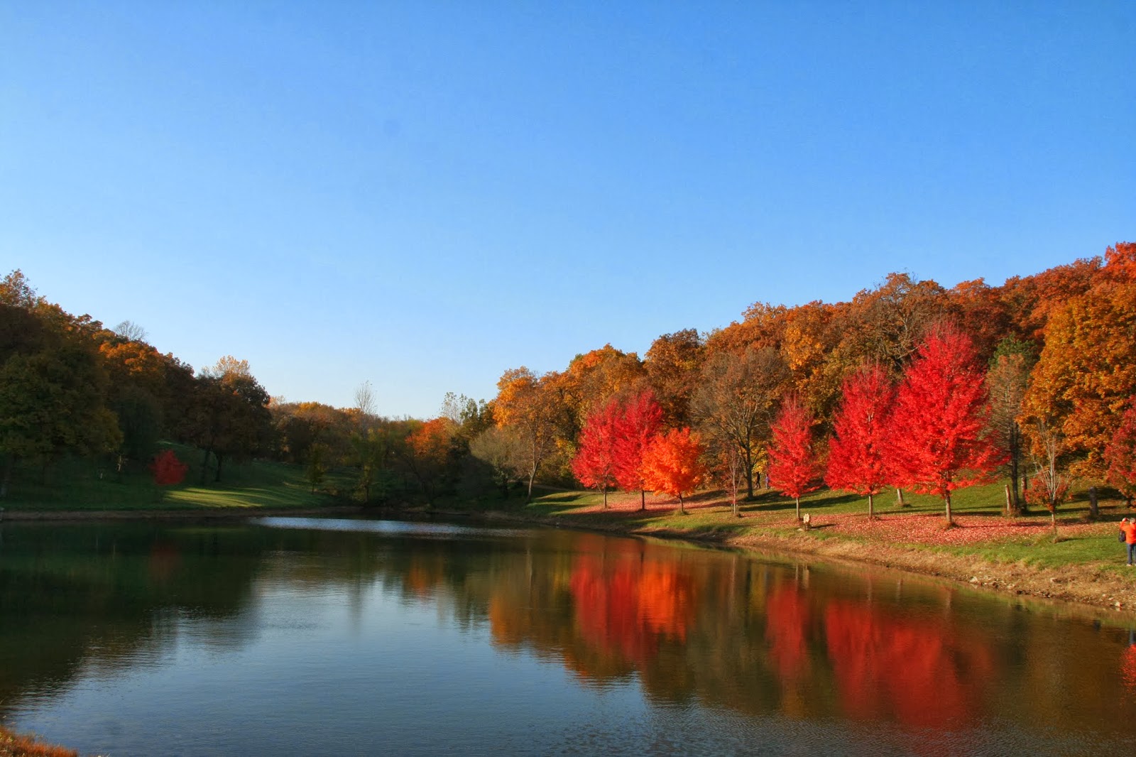 Alice Dreaming Rim Rock Farm Lawrence Kansas