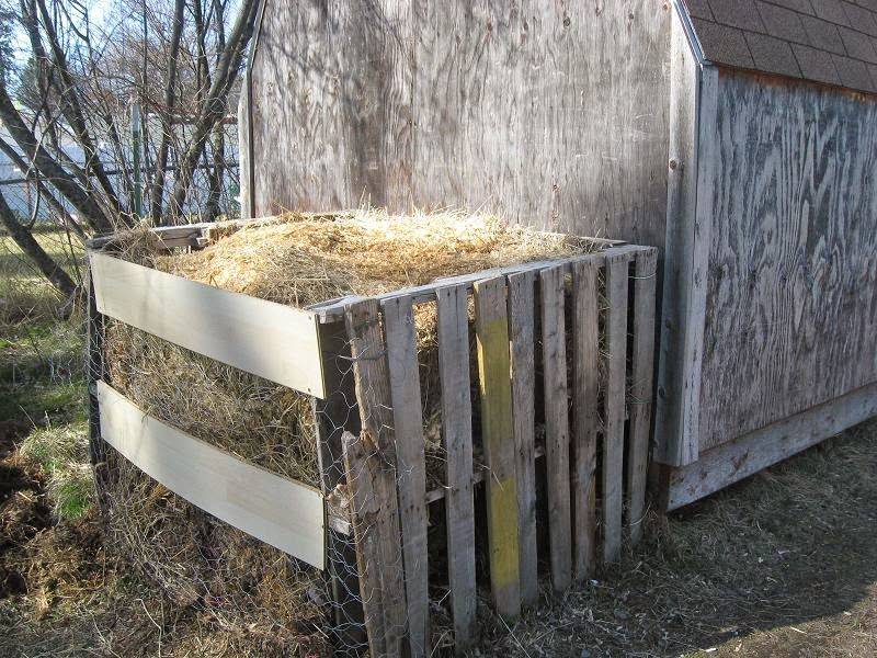 Mary's Place Rabbits And Compost