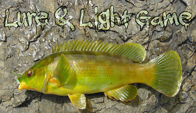 Lure and Light Game