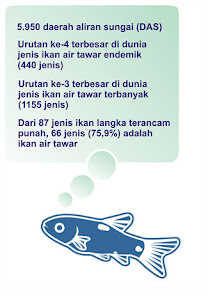 Fakta Sungai dan Ikan Indonesia