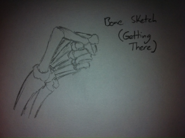 Bone Sketches
