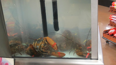 Kroger lobsters 2