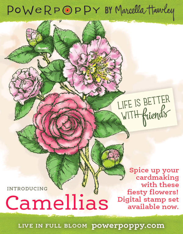 http://powerpoppy.com/products/camellias