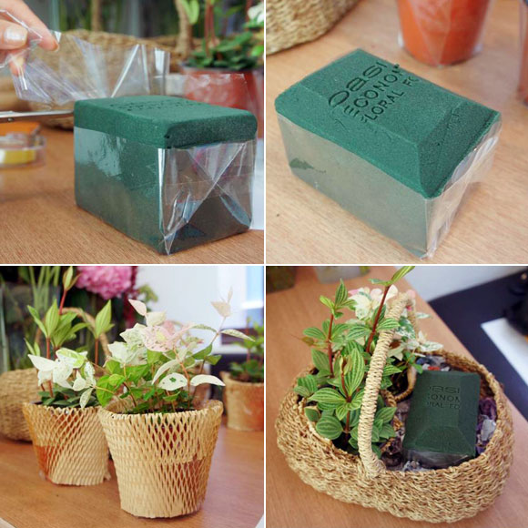 [Image: cam-gio-hoa-sac-hong-lang-mang-1.jpg]