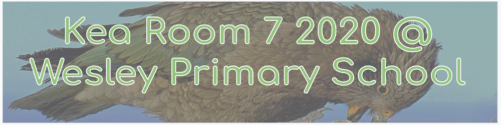Kea Room 7 2020 @ Wesley Primary School