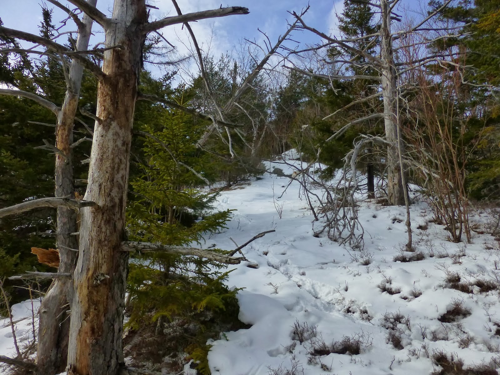 Off on Adventure Knob Lock Mountain Giant Mountain Wilderness 2/1/14
