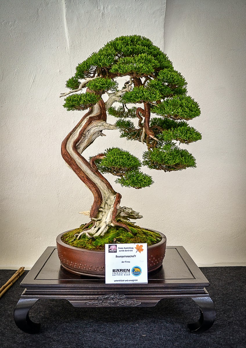 Bonsai Living Art 6th International Alpen Adria Bonsai Exhibition